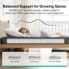 imageNovilla 14 Inch Queen Size MattressHybrid Queen Mattress with Gel Memory Foam CooltoTouch Nylon Blend ampamp Pocketed Coils for Adaptive Body Support ampamp Motion Isolation CertiPURUS CertifiedFull