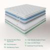 imageNovilla 6 Inch Twin MattressBonnell Spring Hybrid Mattresses for Spine Support ampamp Cooling Comfort  Twin Bed MattressAdaptive Foam Layer with Medium Firm CertiPURUS Certified for YouthGuest RoomsWhite  Green