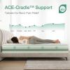 imageNovilla 6 Inch Twin MattressBonnell Spring Hybrid Mattresses for Spine Support ampamp Cooling Comfort  Twin Bed MattressAdaptive Foam Layer with Medium Firm CertiPURUS Certified for YouthGuest RoomsWhite  Green