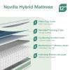 imageNovilla 6 Inch Twin MattressBonnell Spring Hybrid Mattresses for Spine Support ampamp Cooling Comfort  Twin Bed MattressAdaptive Foam Layer with Medium Firm CertiPURUS Certified for YouthGuest RoomsWhite  Green