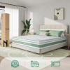 imageNovilla 6 Inch Twin MattressBonnell Spring Hybrid Mattresses for Spine Support ampamp Cooling Comfort  Twin Bed MattressAdaptive Foam Layer with Medium Firm CertiPURUS Certified for YouthGuest RoomsWhite  Green