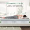 imageNovilla 6 Inch Twin MattressBonnell Spring Hybrid Mattresses for Spine Support ampamp Cooling Comfort  Twin Bed MattressAdaptive Foam Layer with Medium Firm CertiPURUS Certified for YouthGuest RoomsWhite  Green