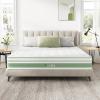 imageNovilla 6 Inch Twin MattressBonnell Spring Hybrid Mattresses for Spine Support ampamp Cooling Comfort  Twin Bed MattressAdaptive Foam Layer with Medium Firm CertiPURUS Certified for YouthGuest RoomsWhite  Green