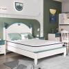 imageNovilla 6 Inch Twin MattressBonnell Spring Hybrid Mattresses for Spine Support ampamp Cooling Comfort  Twin Bed MattressAdaptive Foam Layer with Medium Firm CertiPURUS Certified for YouthGuest RoomsWhite