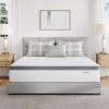 imageNovilla 6 Inch Twin MattressBonnell Spring Hybrid Mattresses for Spine Support ampamp Cooling Comfort  Twin Bed MattressAdaptive Foam Layer with Medium Firm CertiPURUS Certified for YouthGuest RoomsWhite