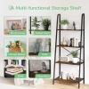 imageNovilla Bookshelf 4Tier Bookcase Freestanding Storage Ladder Shelves for HomeOfficeLiving RoomBalconyBedroom BrownBrown