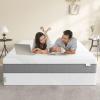 imageNovilla Box Spring for Queen Bed 4Inch Metal Queen Box Spring Supports for All Types of MattressExtraStrong Support ampamp NonSlip No Noise Easy AssemblyTwin