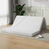 imageNovilla Foldable Mattress Single Size Comfort Foam Trifold Mattress with Cloud Design Cover 4 Inch Folding Mattress for Back Pain Relief Suitable for Camping RV TravelWhite