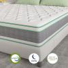 imageNovilla Full Mattress 12 Inch Hybrid Mattress in a Box Innerspring Mattresses with Gel Memory Foam for a Cool Sleep Pressure Relief Medium Firm with Pillow Top GrooveWhitegreygreen