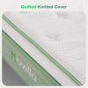 imageNovilla Queen Mattress 12 Inch Hybrid Pillow Top Queen Size Mattress in a Box with Gel Memory Foam ampamp Individually Wrapped Pocket Coils Innerspring for a Cozy ampamp Peaceful SleepWhitegreen