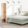 imageNovilla Queen Mattress 12 Inch Hybrid Pillow Top Queen Size Mattress in a Box with Gel Memory Foam ampamp Individually Wrapped Pocket Coils Innerspring for a Cozy ampamp Peaceful SleepWhitegreen