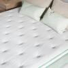 imageNovilla Queen Mattress 12 Inch Hybrid Pillow Top Queen Size Mattress in a Box with Gel Memory Foam ampamp Individually Wrapped Pocket Coils Innerspring for a Cozy ampamp Peaceful SleepWhitegreen