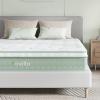 imageNovilla Queen Mattress 12 Inch Hybrid Pillow Top Queen Size Mattress in a Box with Gel Memory Foam ampamp Individually Wrapped Pocket Coils Innerspring for a Cozy ampamp Peaceful SleepWhitegreen