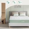 imageNovilla Queen Mattress 12 Inch Hybrid Pillow Top Queen Size Mattress in a Box with Gel Memory Foam ampamp Individually Wrapped Pocket Coils Innerspring for a Cozy ampamp Peaceful SleepWhitegreen