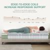 imageNovilla Queen Mattress 12 Inch Hybrid Pillow Top Queen Size Mattress in a Box with Gel Memory Foam ampamp Individually Wrapped Pocket Coils Innerspring for a Cozy ampamp Peaceful SleepWhitegreen