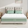 imageNovilla Queen Mattress 12 Inch Hybrid Pillow Top Queen Size Mattress in a Box with Gel Memory Foam ampamp Individually Wrapped Pocket Coils Innerspring for a Cozy ampamp Peaceful SleepWhitegreen