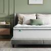 imageNovilla Queen Mattress Topper Extra Thick Pillow Top Mattress Pad with Down Alternative Breathable Mattress Cover with for 821quot Machine Washable Fitted Mattress Protector  GreenWhiteGreenwhite