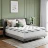imageNovilla Queen Mattress Topper Extra Thick Pillow Top Mattress Pad with Down Alternative Breathable Mattress Cover with for 821quot Machine Washable Fitted Mattress Protector  GreenWhiteGreenwhite