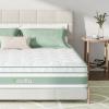 imageNovilla 6 Inch Twin MattressBonnell Spring Hybrid Mattresses for Spine Support ampamp Cooling Comfort  Twin Bed MattressAdaptive Foam Layer with Medium Firm CertiPURUS Certified for YouthGuest RoomsWhite  Green
