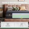imageNovilla King Mattress 10 Inch King Size Mattress Gel Memory Foam for Pressure Relief amp Ergonomic Back Support with Green TeaInfused Foam Medium Firm Mattresses in a BoxQueen US Standard