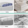 imageNovilla Modular Cloud Couch Modern Sectional Sofa with Smarts Coil Support Chenille Fabric Upholstered Couch for Living Room Apartments Bedroom No Assembly RightArm Chair Dark GreyWhite