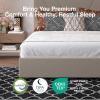 imageNovilla Queen Bed Frame with Drawers Queen Bed Frame with Headboard LED Bed Frame Queen Size Charging Station and Adjustable Headboard Bed Frame Queen Size No Box Spring Needed BeigeBeige