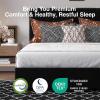 imageNovilla Queen Bed Frame with Drawers Queen Bed Frame with Headboard LED Bed Frame Queen Size Charging Station and Adjustable Headboard Bed Frame Queen Size No Box Spring Needed BeigeBlack Velvet