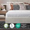 imageNovilla Queen Bed Frame with Drawers Queen Bed Frame with Headboard LED Bed Frame Queen Size Charging Station and Adjustable Headboard Bed Frame Queen Size No Box Spring Needed BeigeWhite Velvet
