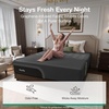 image:imageNovilla AiryFlow Graphene 14 Inch King Size Mattress Cooling Memory Foam  Medium Firm Mattress Thermal Balance Cover 3Zone Lumbar Support Pressure Relief amp Motion Isolation CertiPURUS CertifiedGrey